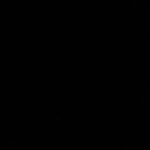 Meet your Posher, Ashlyn